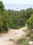 Road from Ao Leuk to Mae Haad.JPG (55 KB)